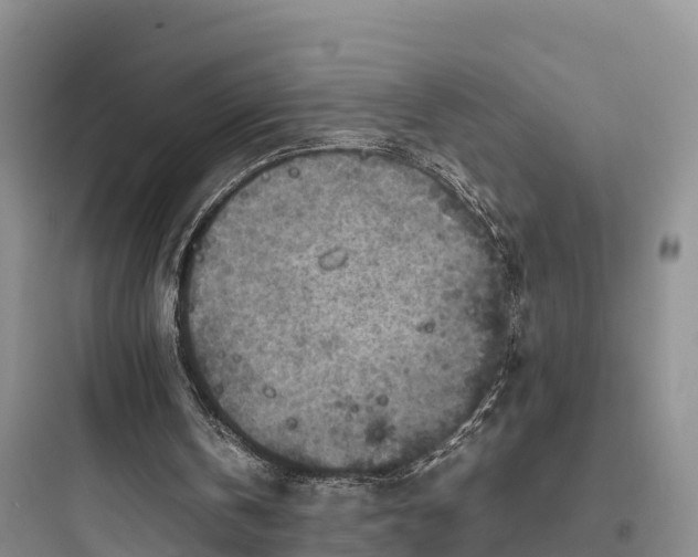 X0000097920146200803211535