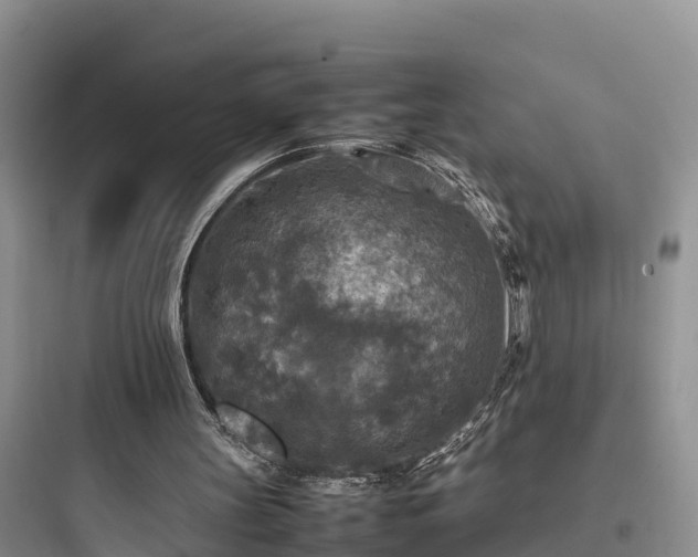 X0000097920147200803211535