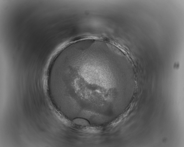 X0000097920149200803211535