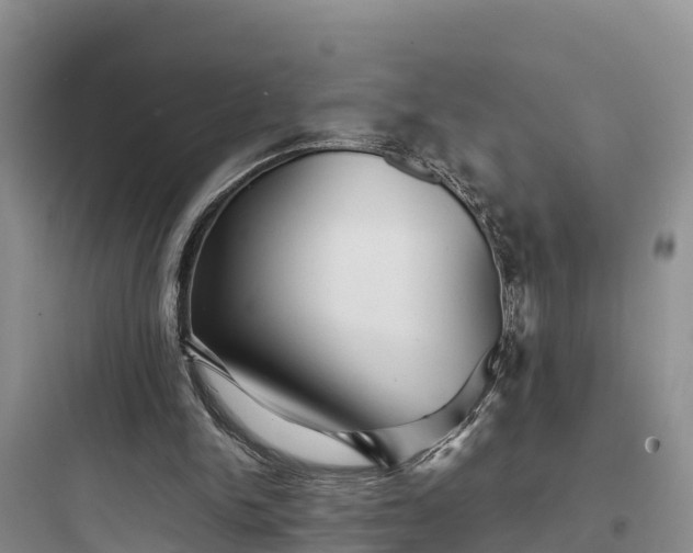 X0000097920150200803211535