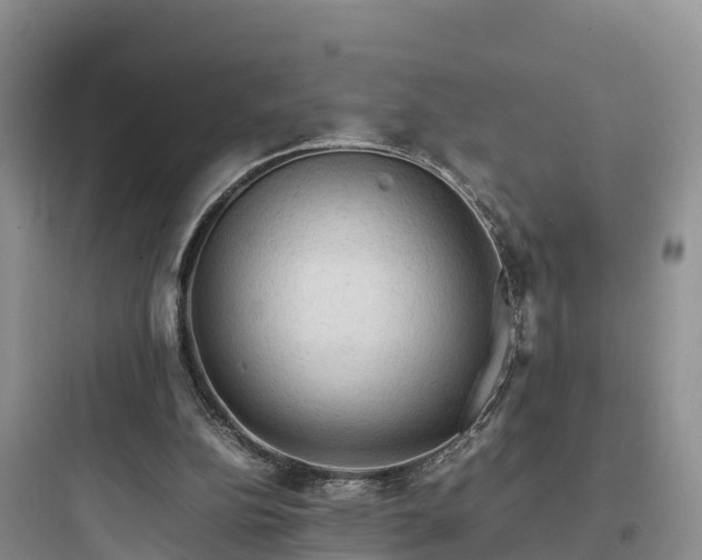 X0000097920152200803211535