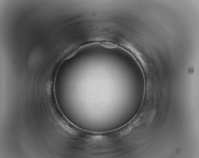 X0000097920153200803211535