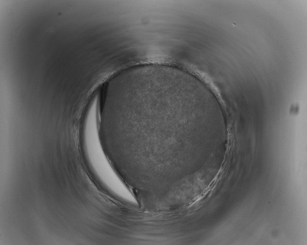 X0000097920154200803211535