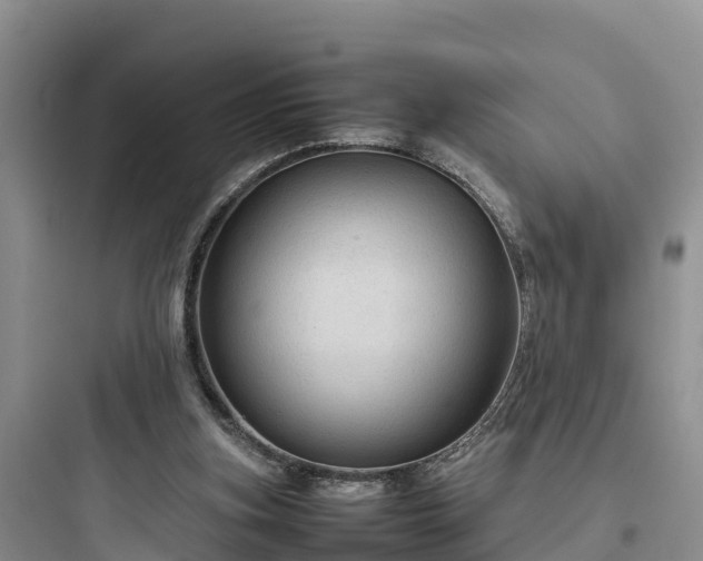 X0000097920155200803211535