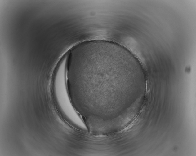 X0000097920156200803211535