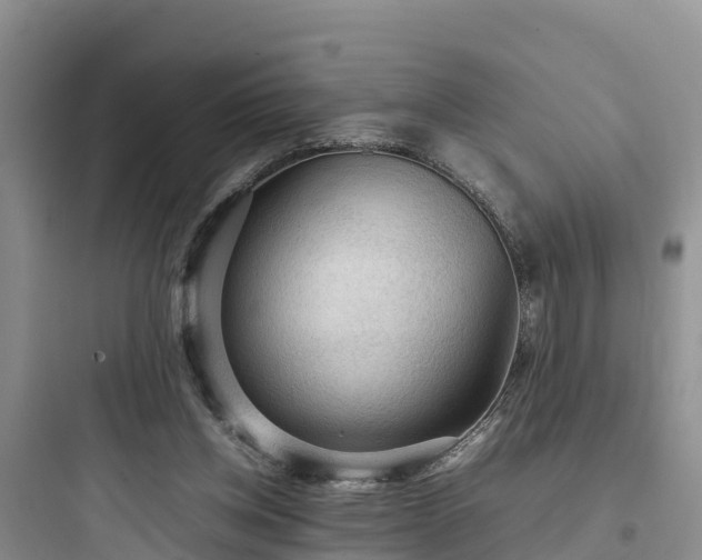 X0000097920158200803211535