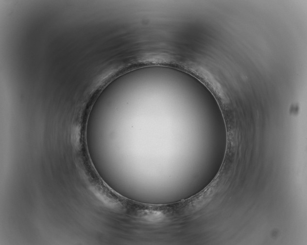 X0000097920159200803211535