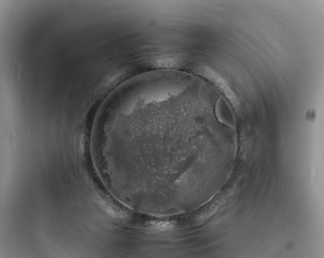 X0000097920161200803211535