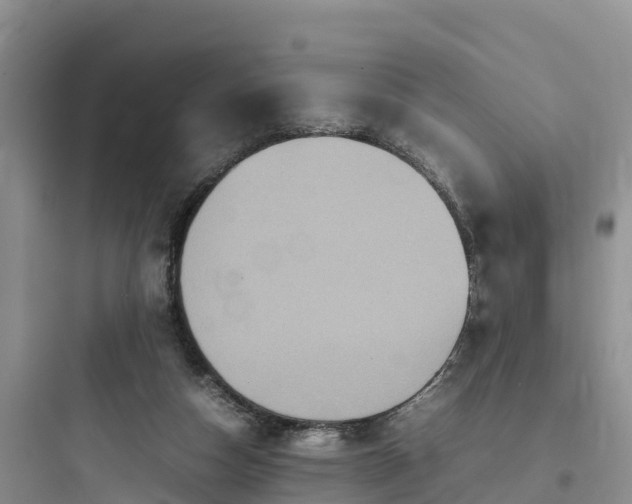 X0000097920162200803211535