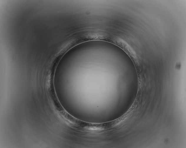 X0000097920163200803211535