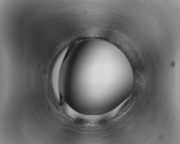 X0000097920164200803211535