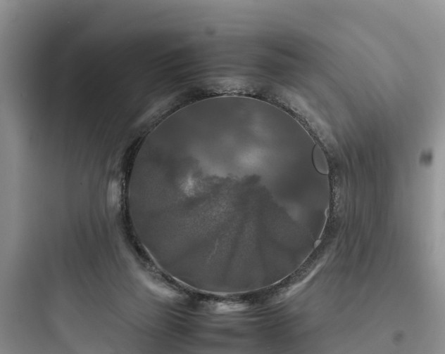 X0000097920165200803211535