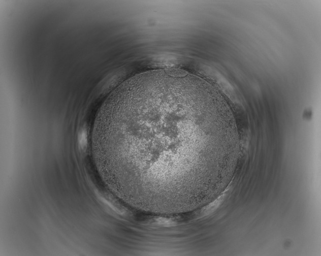 X0000097920166200803211535