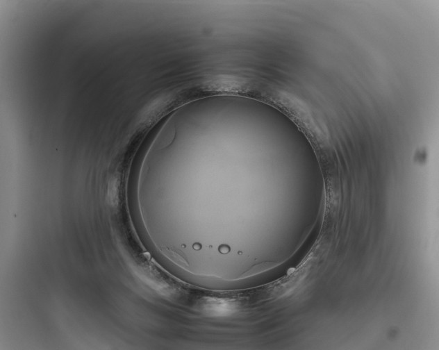 X0000097920167200803211535