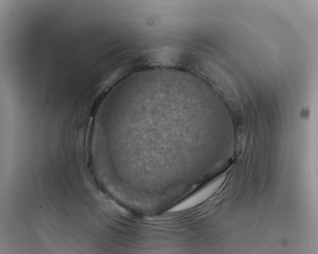 X0000097920168200803211535