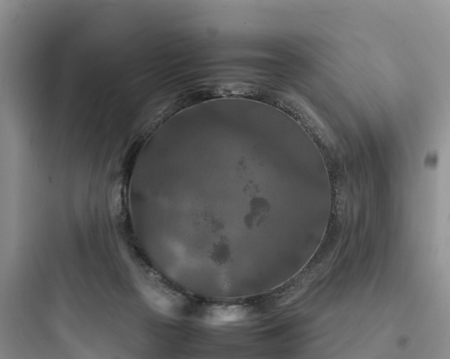 X0000097920169200803211535