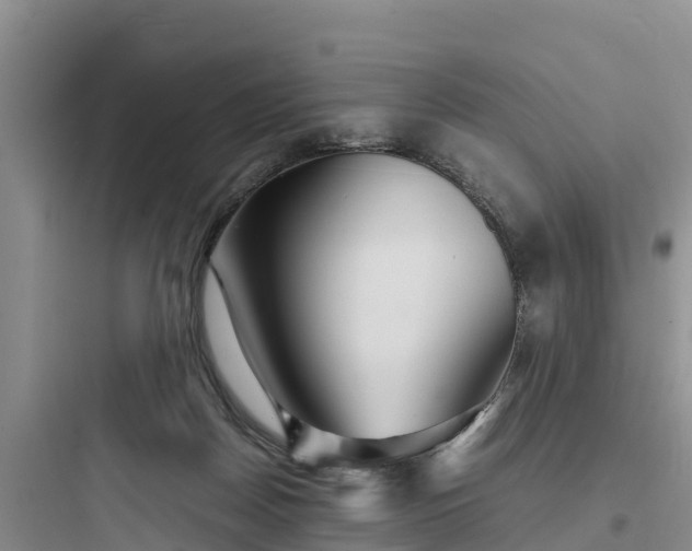 X0000097920170200803211535