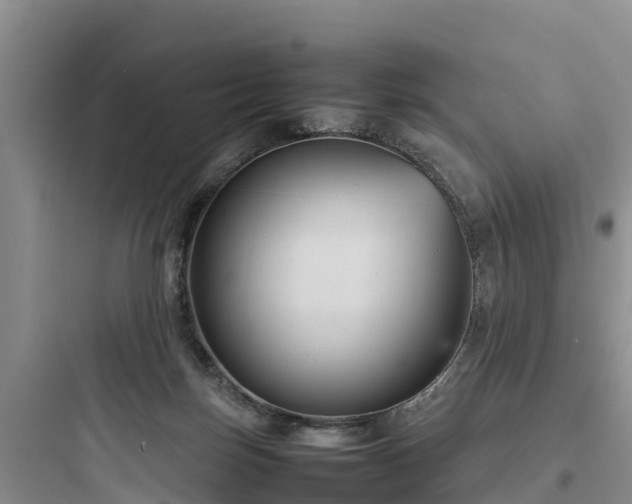 X0000097920171200803211535