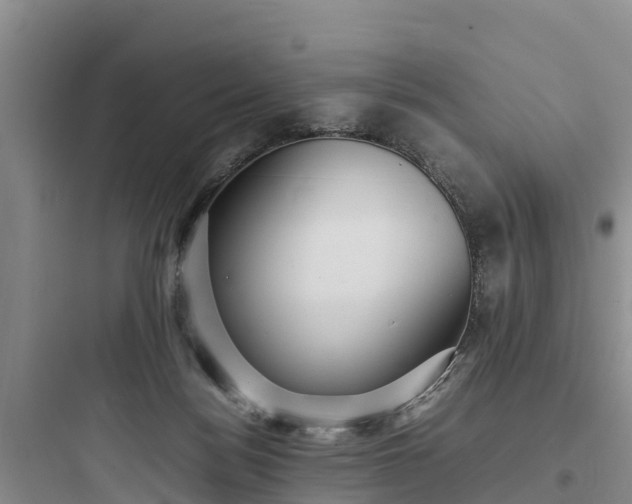 X0000097920172200803211535