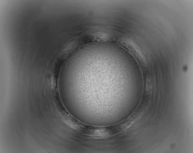 X0000097920173200803211535