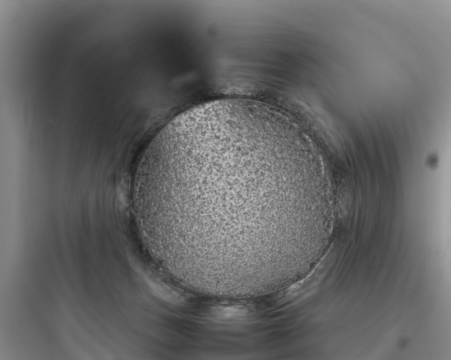 X0000097920175200803211535