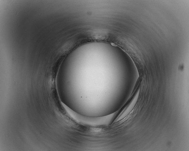 X0000097920176200803211535