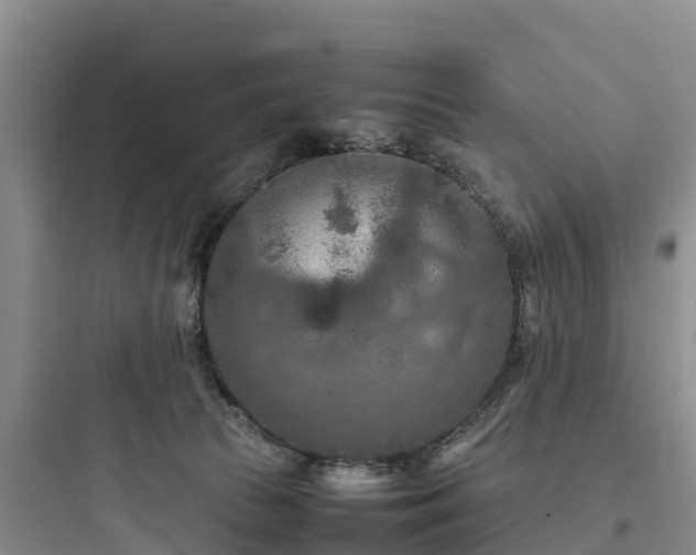 X0000097920177200803211535