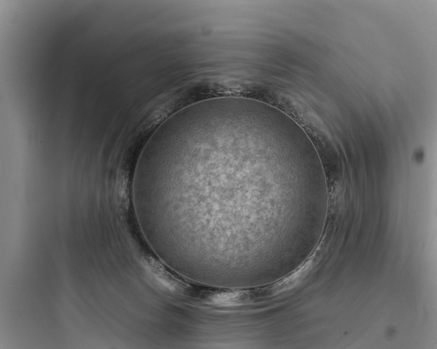 X0000097920178200803211535