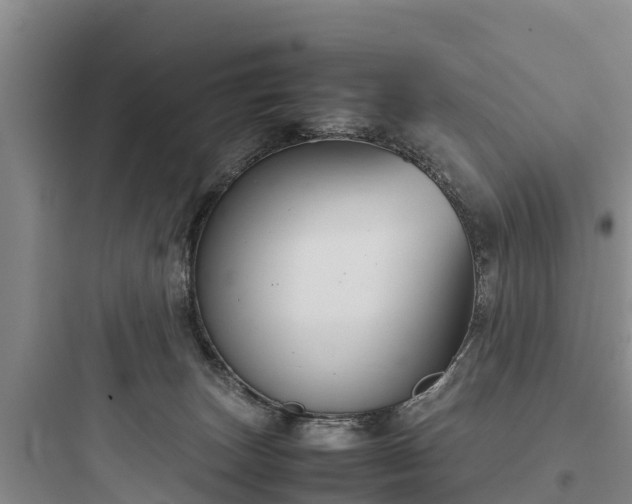 X0000097920179200803211535