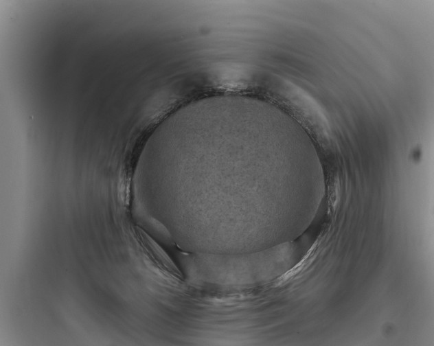 X0000097920180200803211535