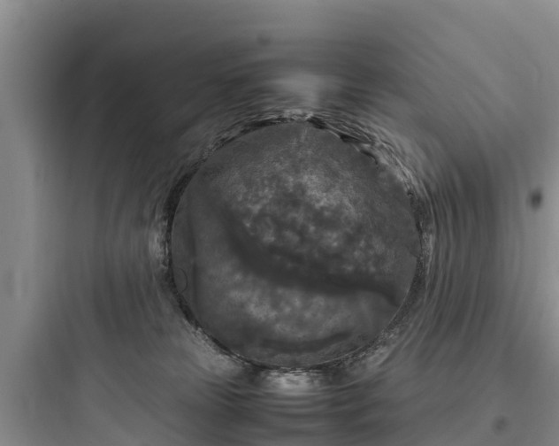 X0000097920181200803211535