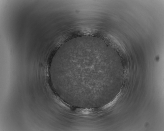 X0000097920182200803211535