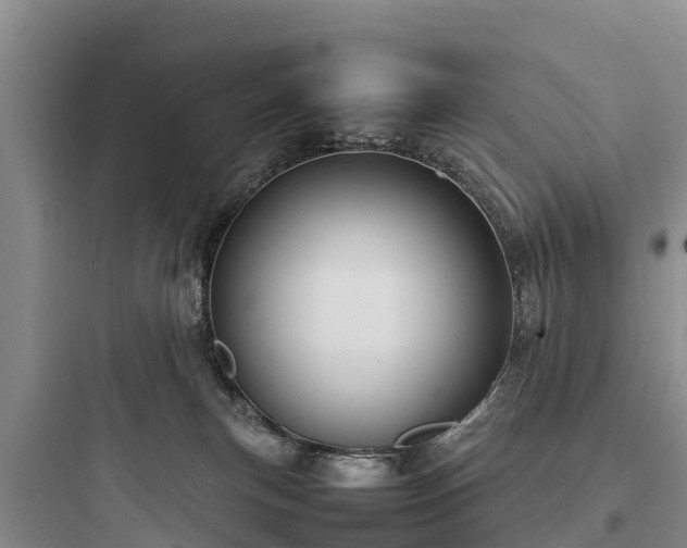 X0000097920183200803211535