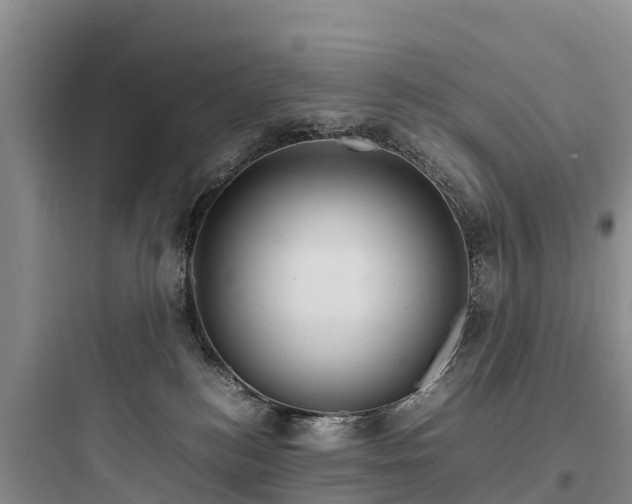 X0000097920184200803211535