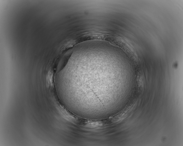 X0000097920185200803211535