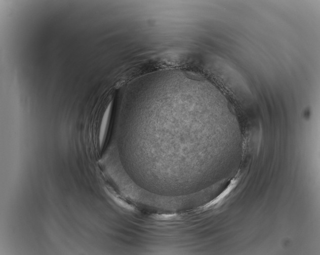 X0000097920186200803211535