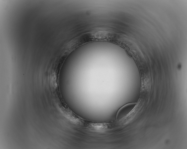 X0000097920187200803211535