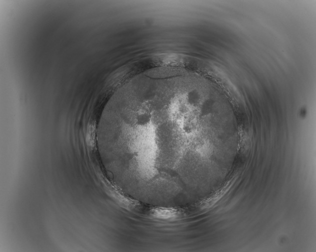 X0000097920189200803211536