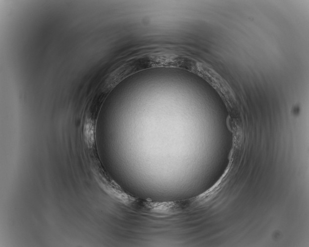 X0000097920191200803211536