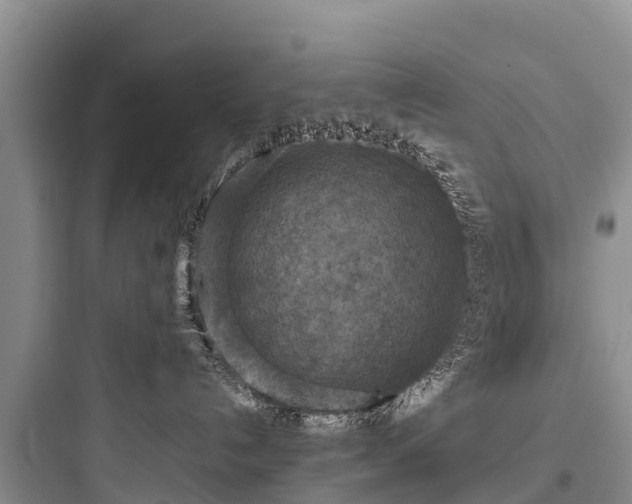 X0000097920192200803211536