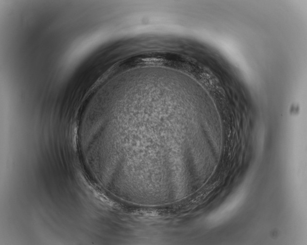 X0000097920194200803211535