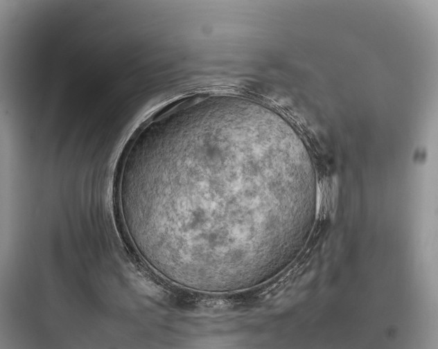 X0000097920195200803211535