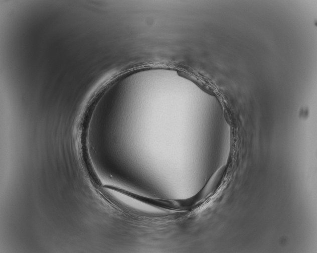 X0000097920197200803211535