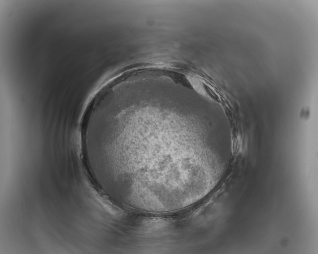 X0000097920198200803211535