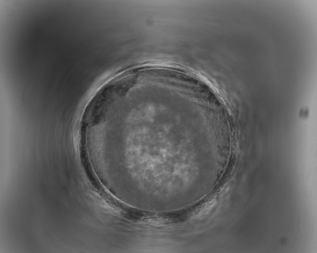 X0000097920199200803211535