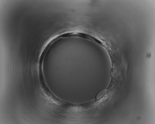 X0000097920200200803211535