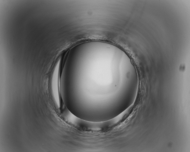 X0000097920201200803211535