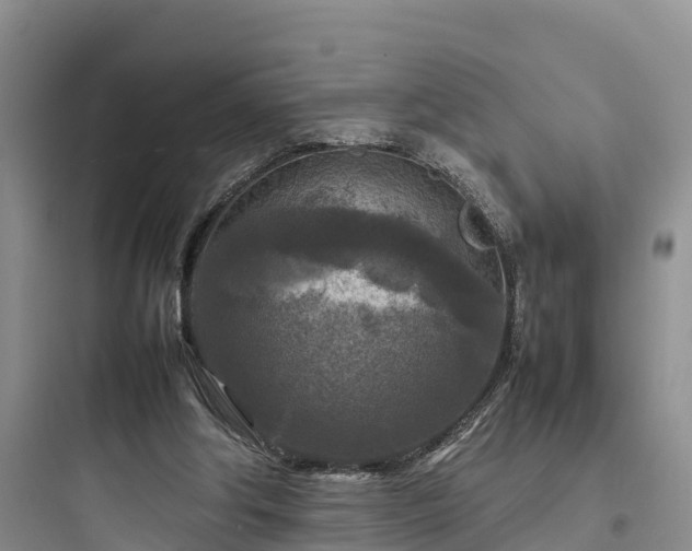 X0000097920202200803211535