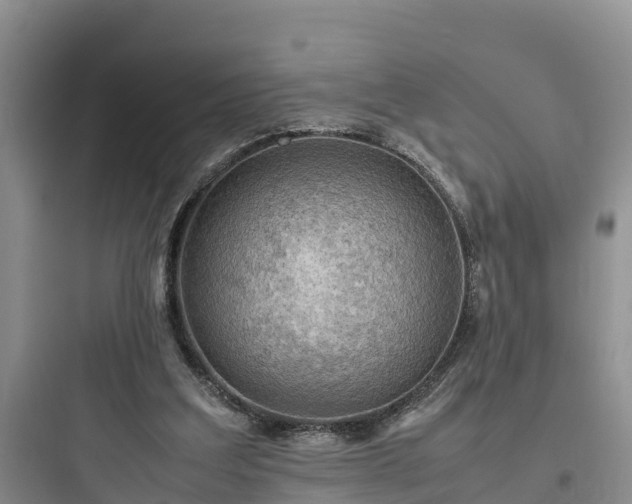 X0000097920203200803211535