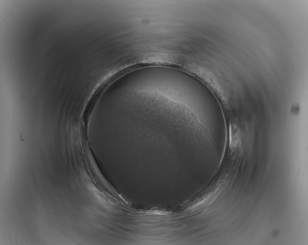 X0000097920204200803211535